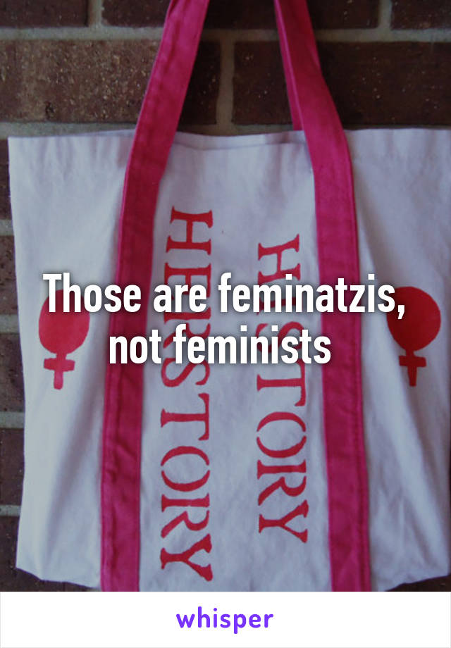 Those are feminatzis, not feminists 