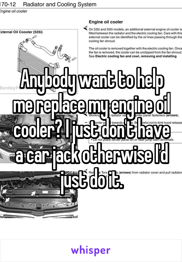 Anybody want to help me replace my engine oil cooler? I just don't have a car jack otherwise I'd just do it.