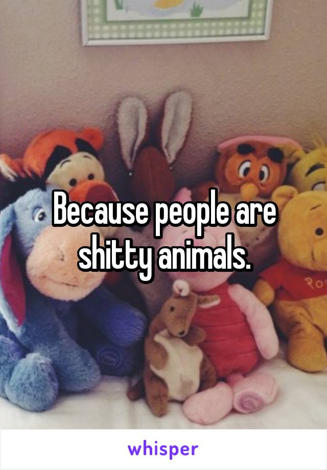 Because people are shitty animals.