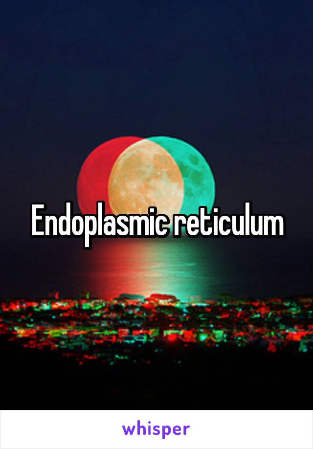 Endoplasmic reticulum