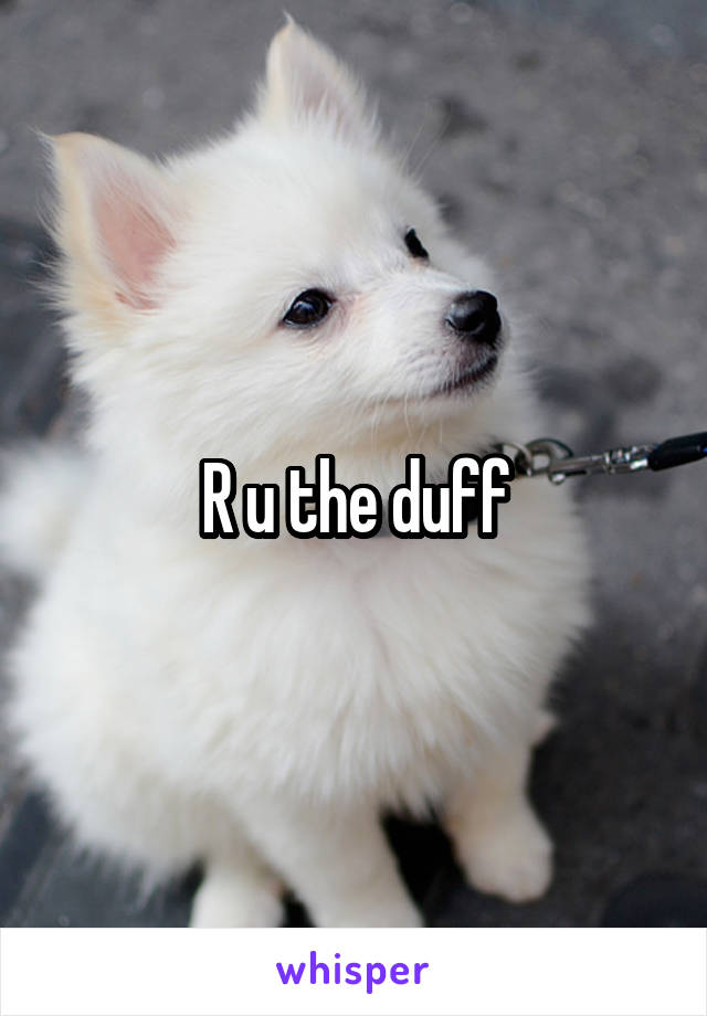 R u the duff