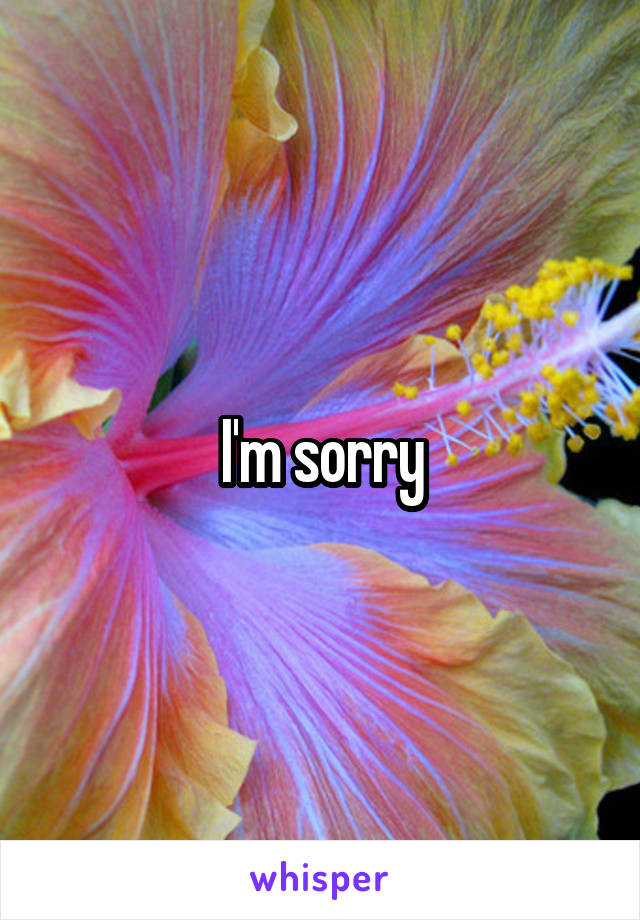 I'm sorry