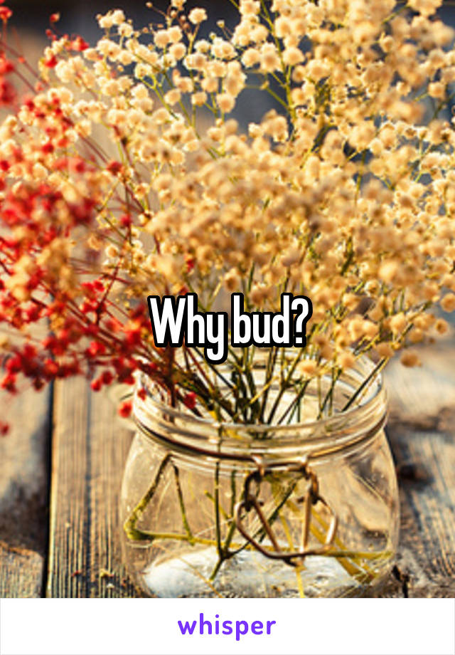 Why bud?