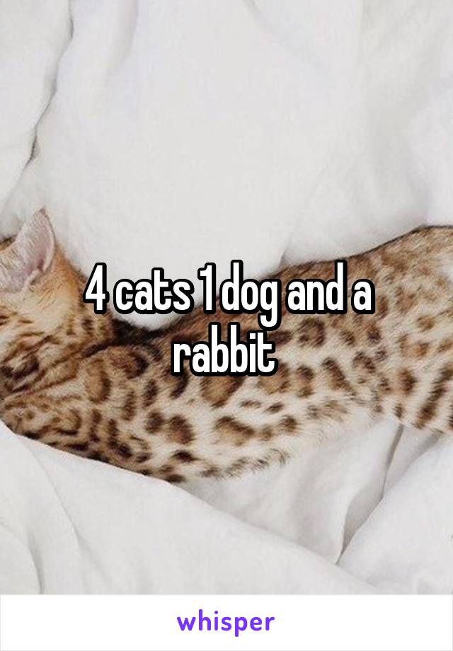 4 cats 1 dog and a rabbit 