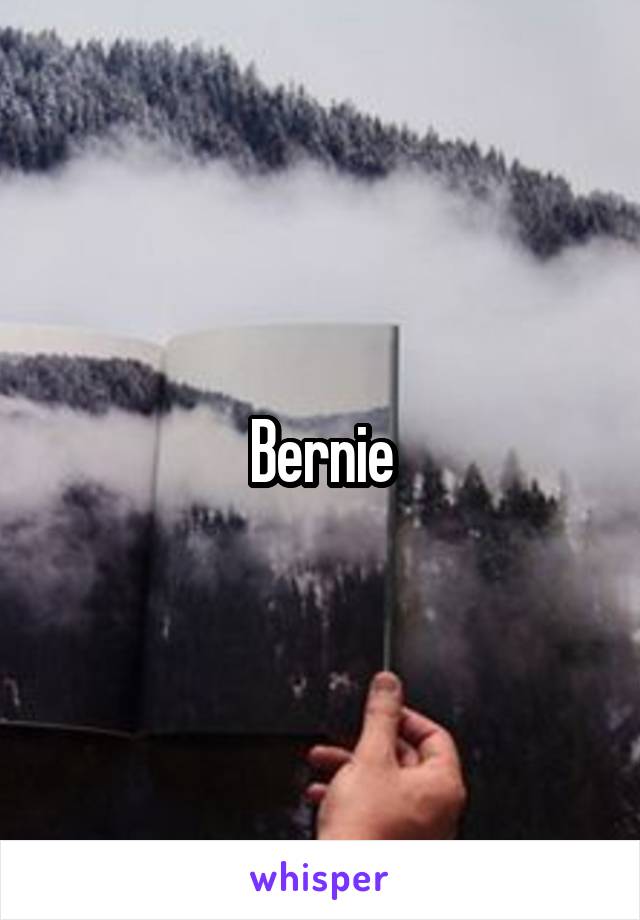 Bernie