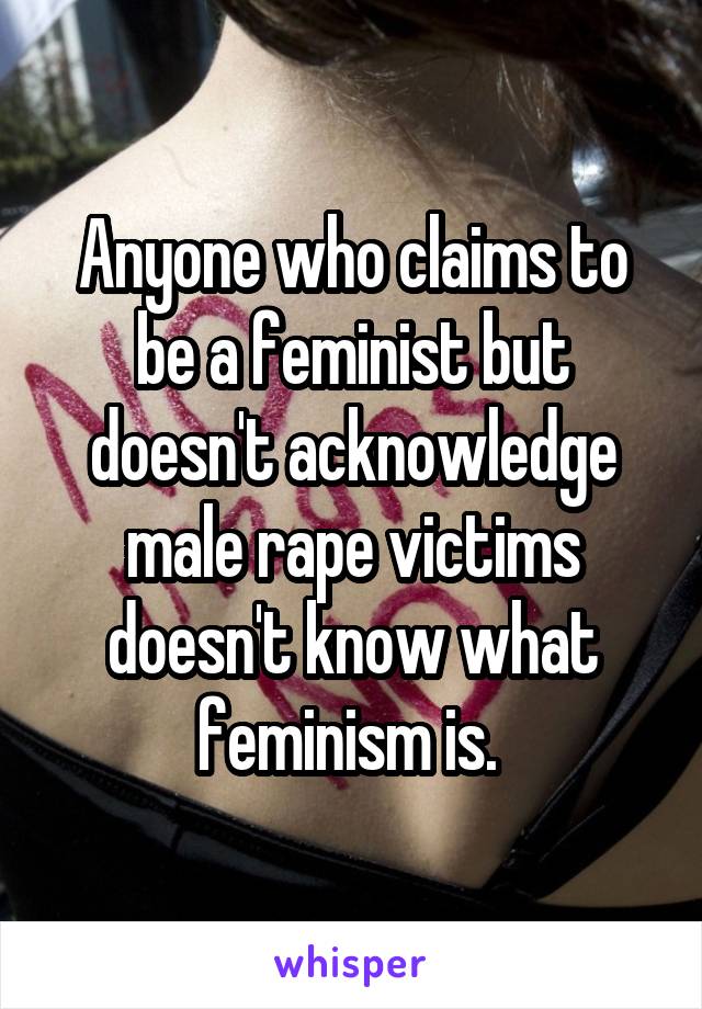 Anyone who claims to be a feminist but doesn't acknowledge male rape victims doesn't know what feminism is. 