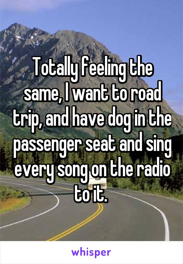 Totally feeling the same, I want to road trip, and have dog in the passenger seat and sing every song on the radio to it. 