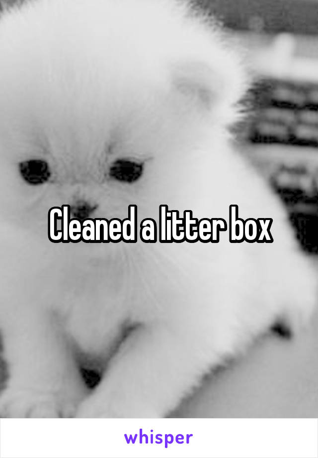 Cleaned a litter box