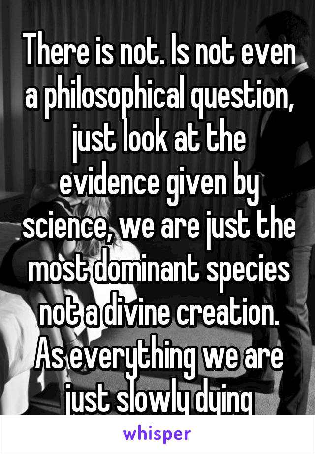 There is not. Is not even a philosophical question, just look at the evidence given by science, we are just the most dominant species not a divine creation. As everything we are just slowly dying