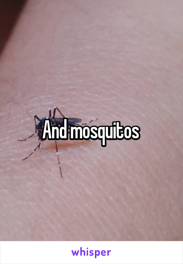 And mosquitos 