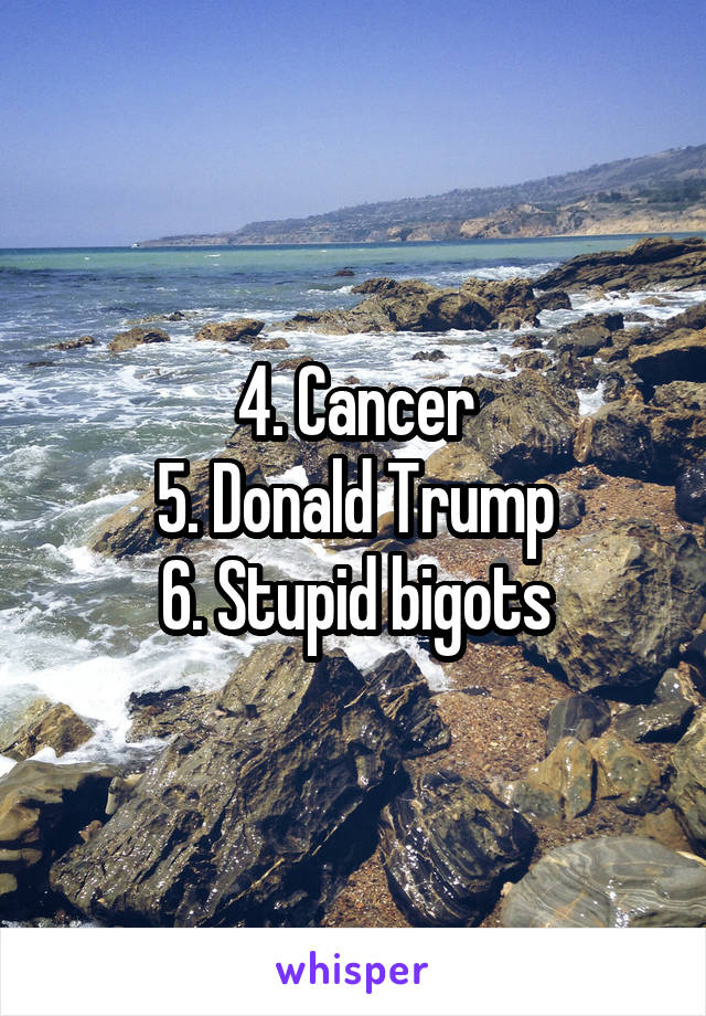 4. Cancer
5. Donald Trump
6. Stupid bigots