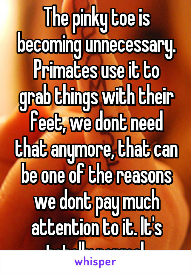 The pinky toe is becoming unnecessary.
Primates use it to grab things with their feet, we dont need that anymore, that can be one of the reasons we dont pay much attention to it. It's totally normal.