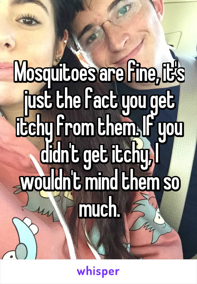 Mosquitoes are fine, it's just the fact you get itchy from them. If you didn't get itchy, I wouldn't mind them so much.