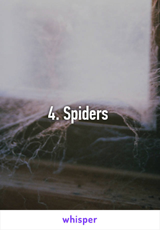 4. Spiders 