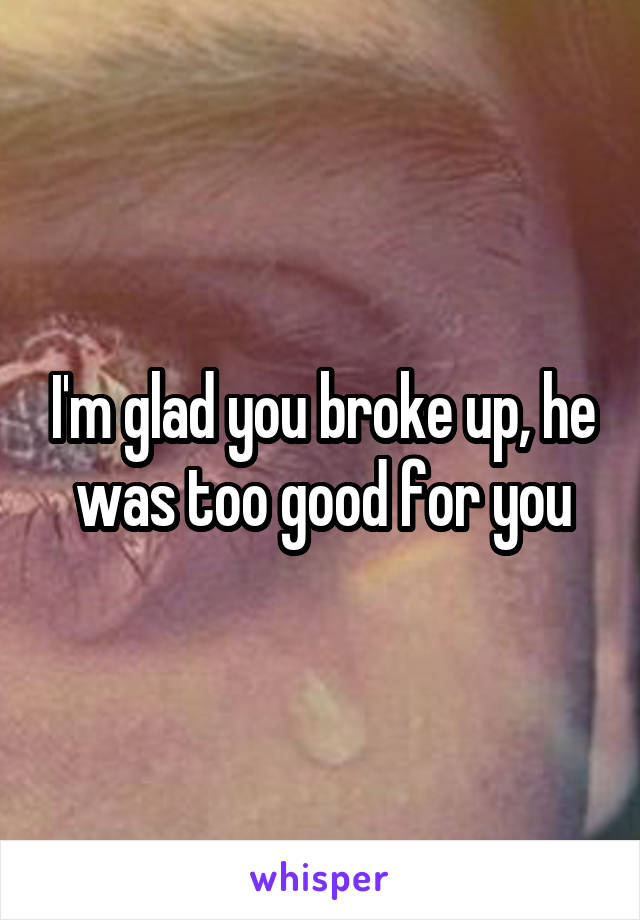 I'm glad you broke up, he was too good for you
