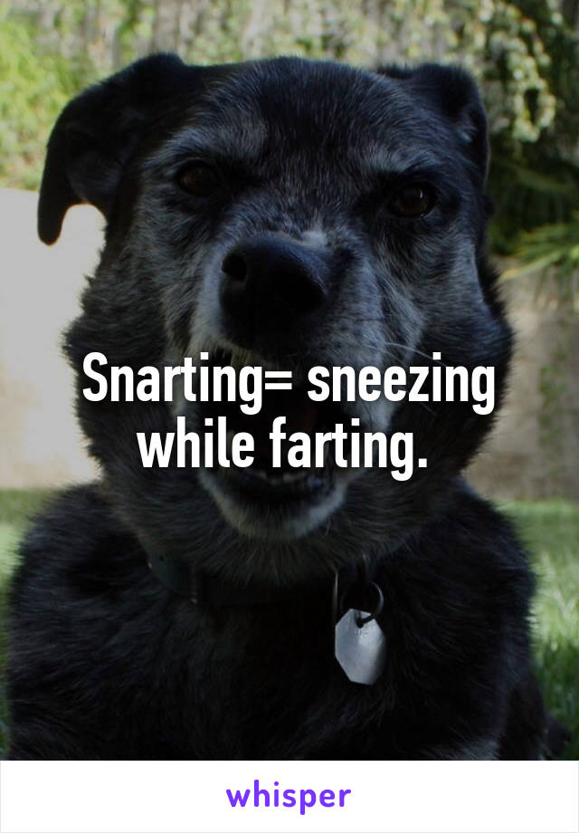 Snarting= sneezing while farting. 