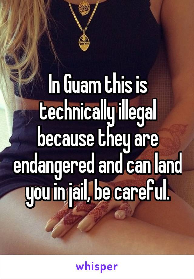 In Guam this is technically illegal because they are endangered and can land you in jail, be careful.