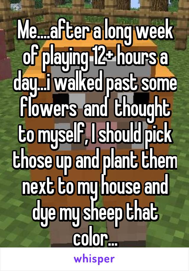 Me....after a long week of playing 12+ hours a day...i walked past some flowers  and  thought to myself, I should pick those up and plant them next to my house and dye my sheep that color...