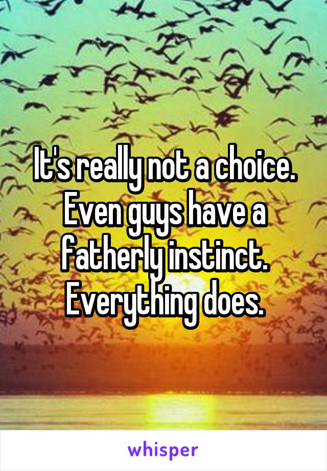 It's really not a choice. Even guys have a fatherly instinct. Everything does.