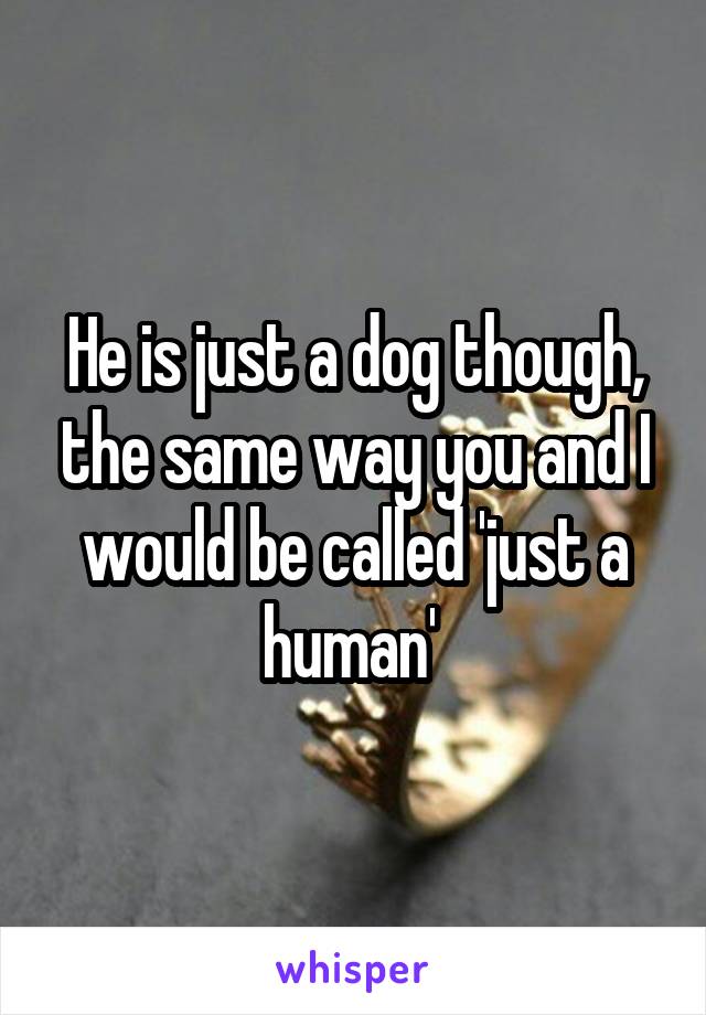 He is just a dog though, the same way you and I would be called 'just a human' 