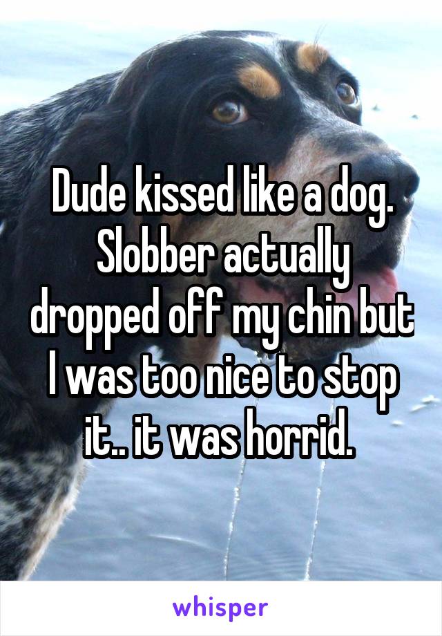 Dude kissed like a dog. Slobber actually dropped off my chin but I was too nice to stop it.. it was horrid. 