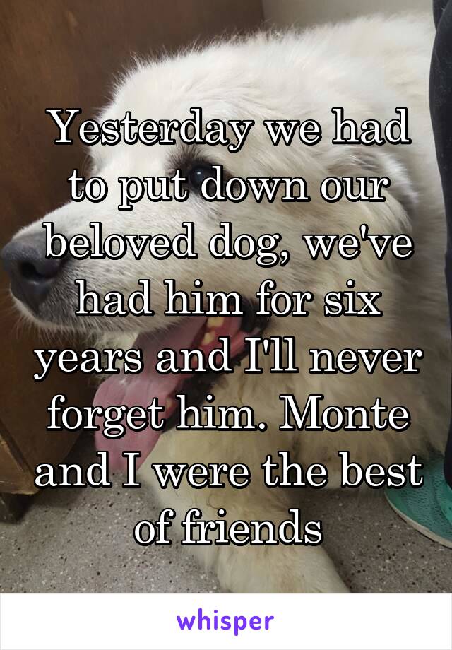 Yesterday we had to put down our beloved dog, we've had him for six years and I'll never forget him. Monte and I were the best of friends