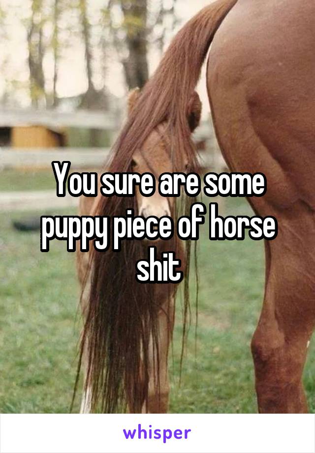 You sure are some puppy piece of horse shit