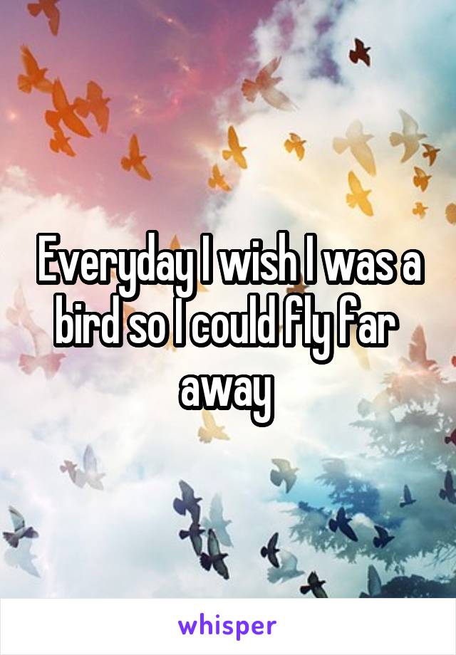 Everyday I wish I was a bird so I could fly far  away 