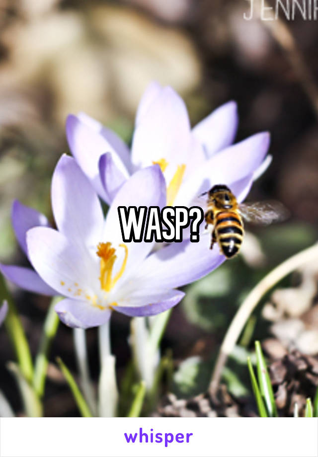 WASP?