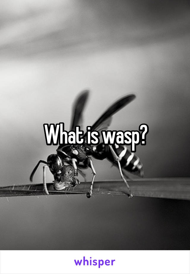 What is wasp?
