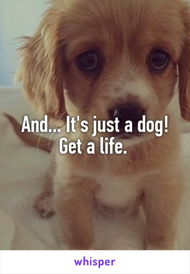 And... It's just a dog!
Get a life. 