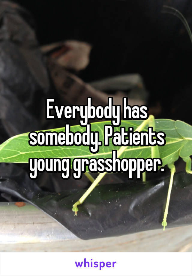 Everybody has somebody. Patients young grasshopper.