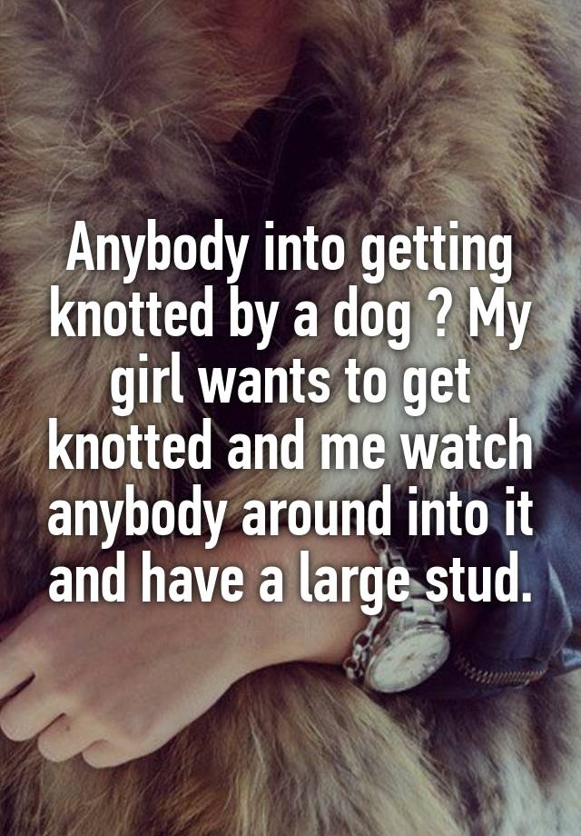 Anybody into getting knotted by a dog ? My girl wants to get knotted