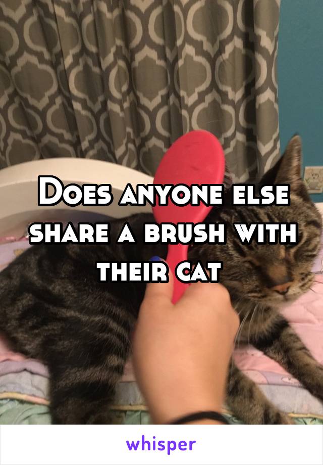 Does anyone else share a brush with their cat 