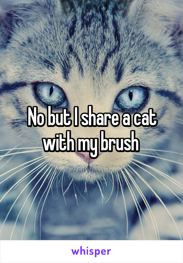 No but I share a cat with my brush 
