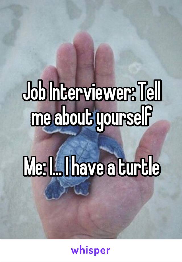 Job Interviewer: Tell me about yourself

Me: I... I have a turtle