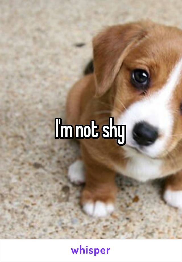 I'm not shy 
