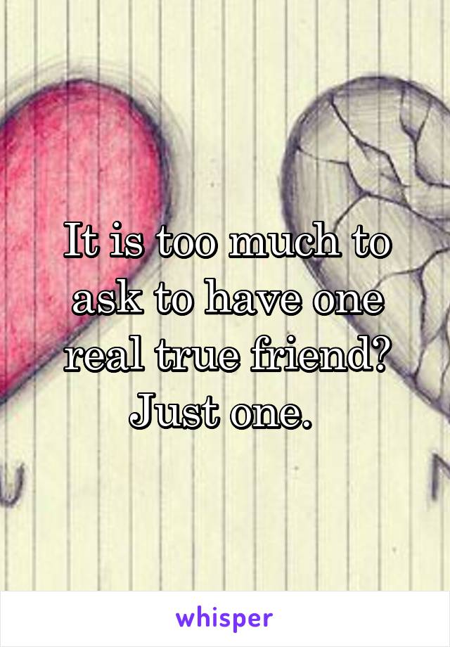 It is too much to ask to have one real true friend? Just one. 