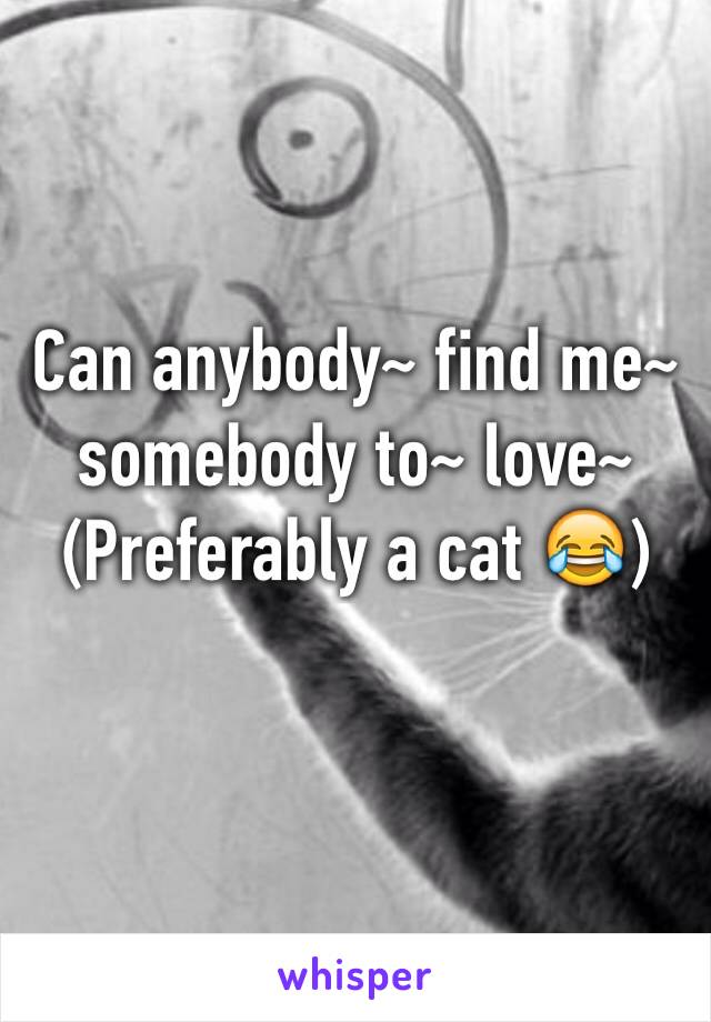 Can anybody~ find me~ somebody to~ love~ 
(Preferably a cat 😂)