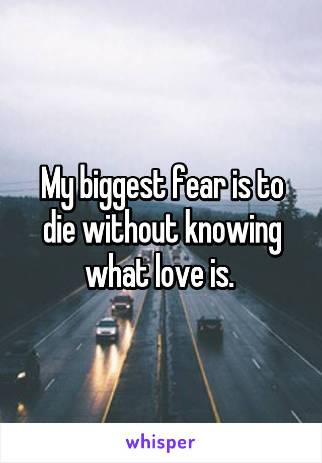 My biggest fear is to die without knowing what love is. 