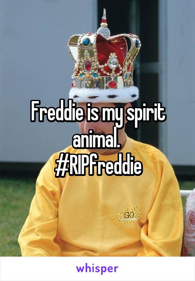 Freddie is my spirit animal. 
#RIPfreddie