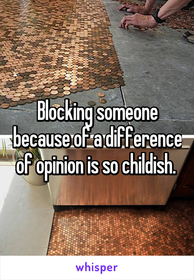 Blocking someone because of a difference of opinion is so childish. 