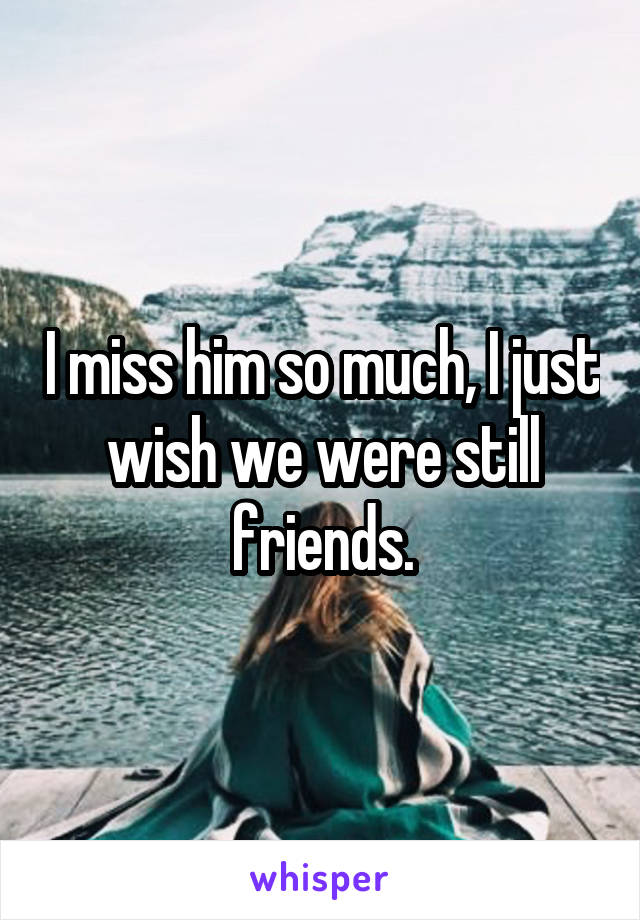 I miss him so much, I just wish we were still friends.