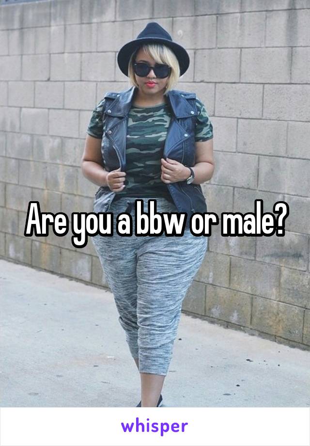 Are you a bbw or male?