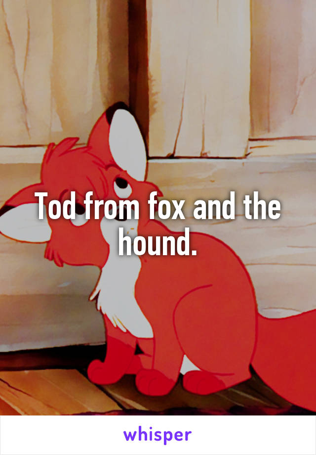 Tod from fox and the hound.