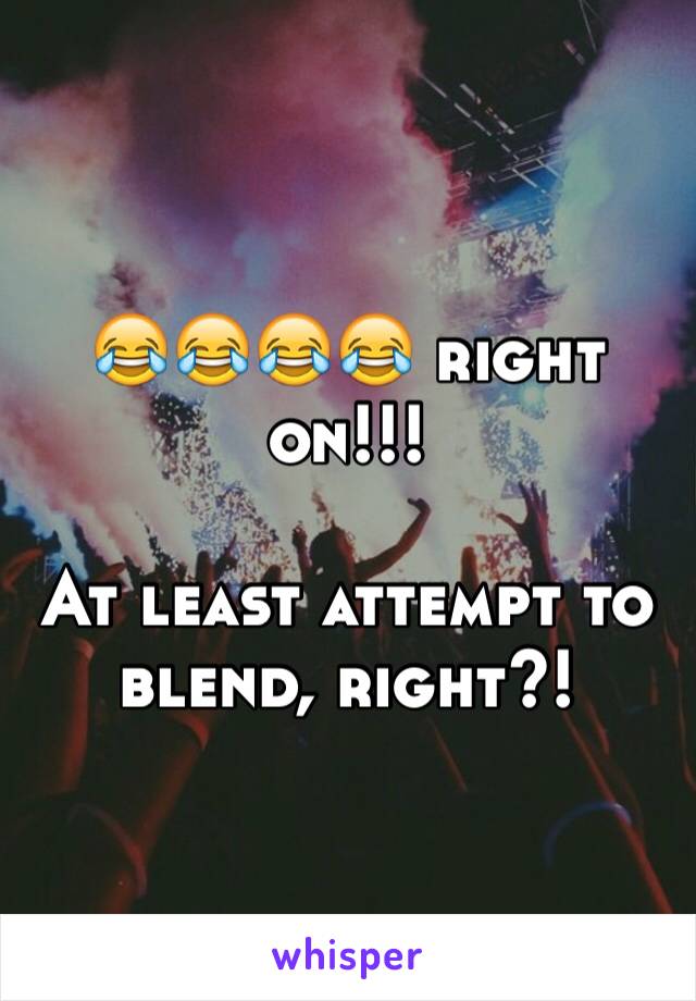 😂😂😂😂 right on!!! 

At least attempt to blend, right?! 