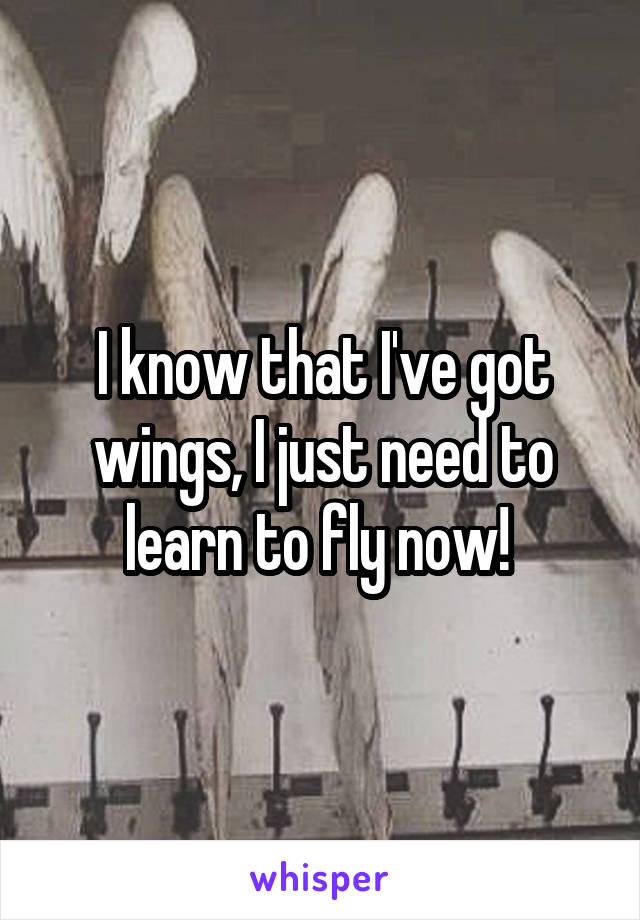 I know that I've got wings, I just need to learn to fly now! 