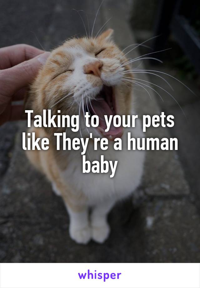 Talking to your pets like They're a human baby