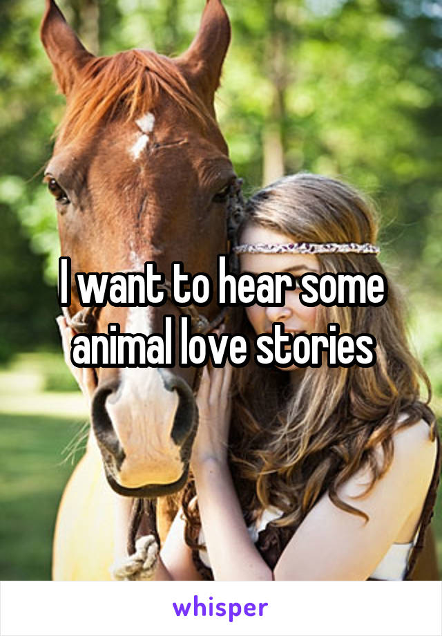 I want to hear some animal love stories