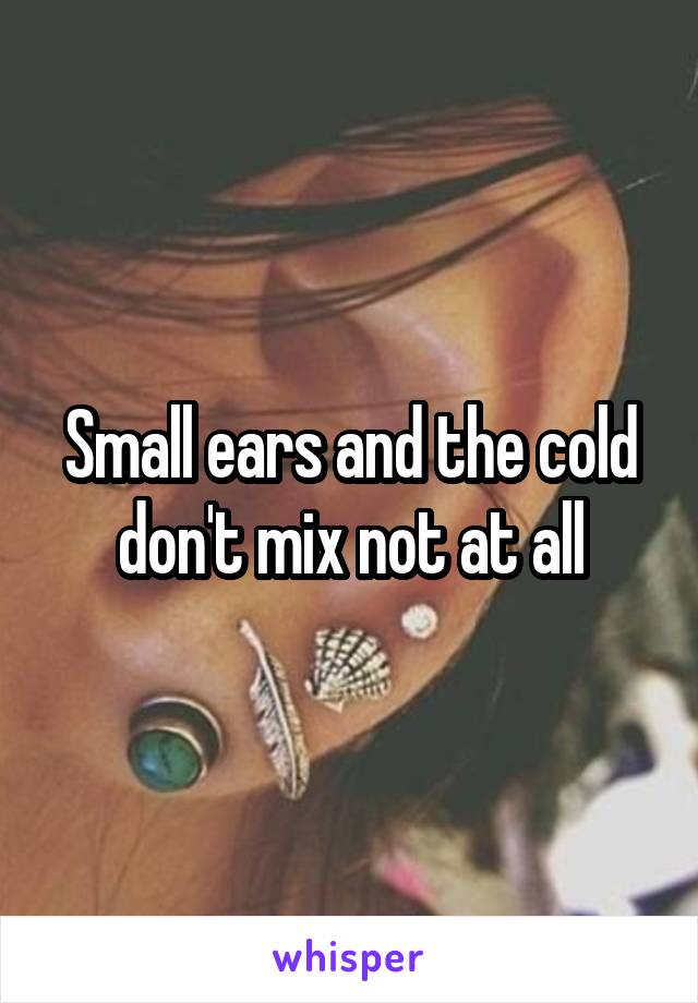 Small ears and the cold don't mix not at all